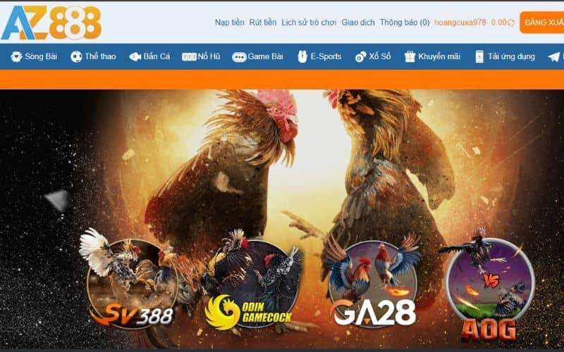 GA28 là một trong những sảnh cược đá gà tại AZ888