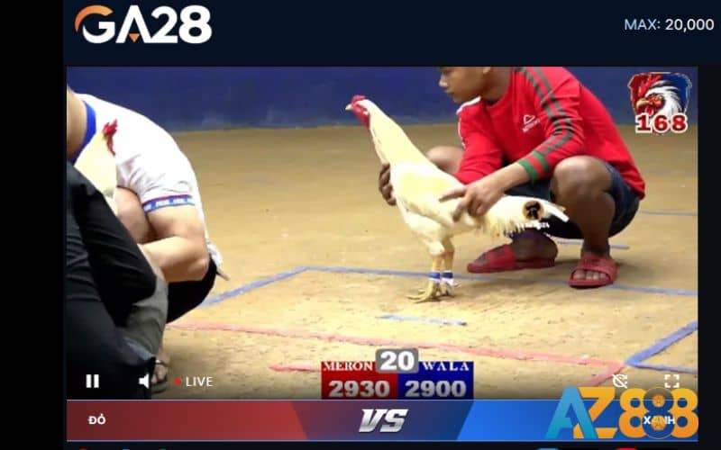 GA28 phát sóng các trận đấu với hình ảnh sắc nét