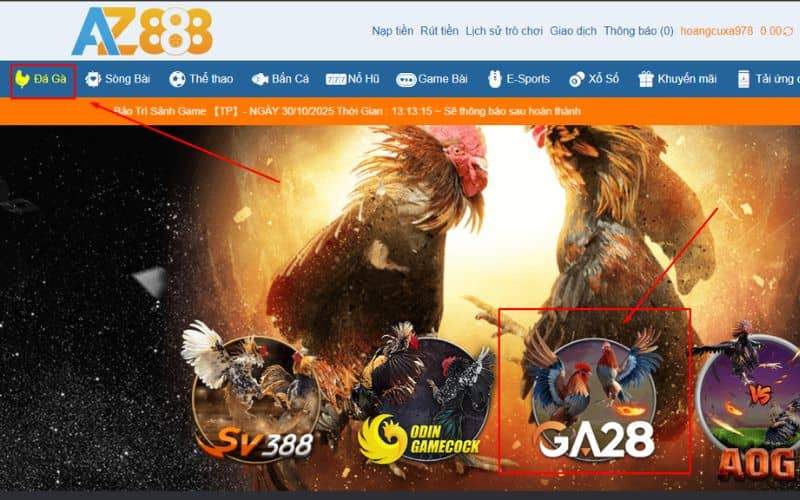 Hướng dẫn cơ bản các bước tham gia đặt cược