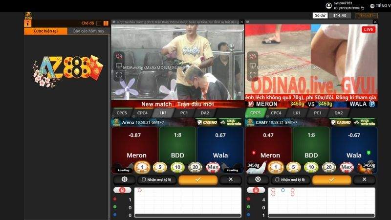 Đá Gà Trực Tuyến